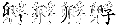 孵