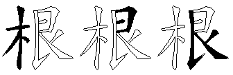 根