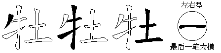 牡