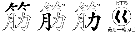 筋