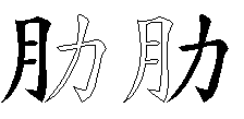 肋