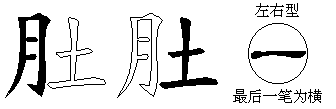 肚