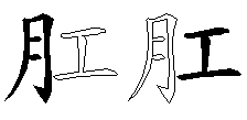 肛