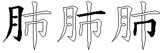 肺