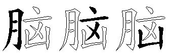 脑