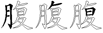 腹