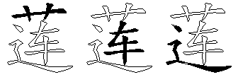 莲