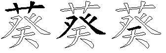 葵
