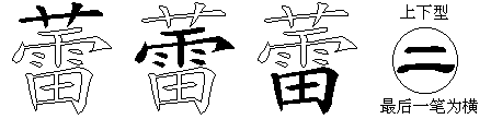 蕾