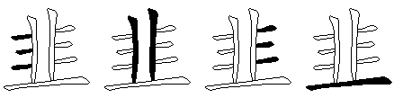 韭