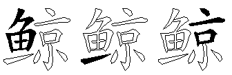鲸