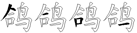 鸽