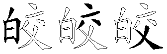 皎