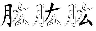 肱
