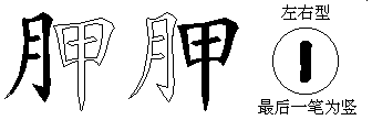胛