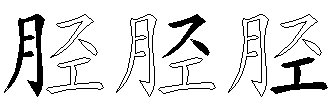 胫