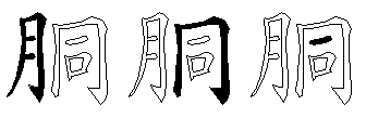 胴