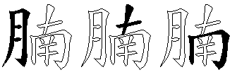 腩
