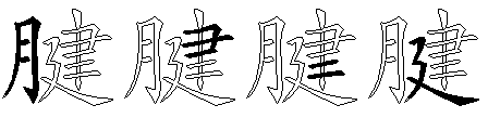 腱
