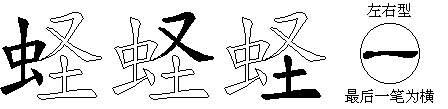 蛏