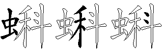 蝌