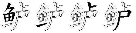 鲈