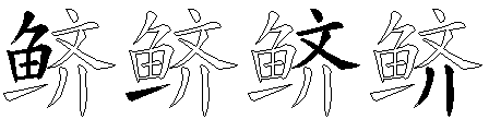鲚