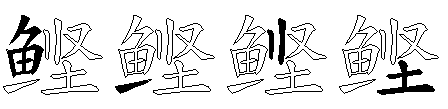 鲣