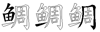 鲷