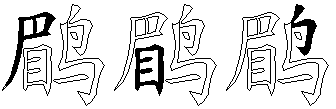 鹛